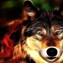 ���� ���, ���������-�����, 57 ��� - ��������� 6 ������ 2010 � ������ ���� ����������