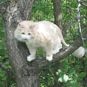 ���� Vytalii, ������ ��������, 59 ��� - ��������� 8 ������� 2011 � ������ �������!�