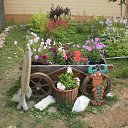 ���� �������, ���������, 59 ��� - ��������� 31 ���� 2011 � ������ ���� ����������