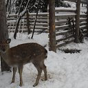 ���� ����, ������ - ��������� 7 ������ 2013 � ������ �������