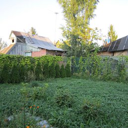 ���� Jussi, �����, 34 ���� - ��������� 31 ������� 2011