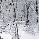  ,  -  29  2013   ѻ
