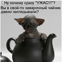 ���� ����� - ���������� ��������!!!, �����������, 56 ��� - ��������� 27 ������ 2010 � ������ ��������� ����һ