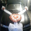 ���� �����, ������, 48 ��� - ��������� 27 ������ 2012 � ������ ���� ����������