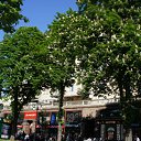 ���� Valery, ������, 38 ��� - ��������� 12 ��� 2012 � ������ ���� ����������