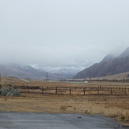 �������, �����������, 40 ���