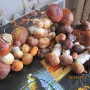 ���� ���������, �������, 49 ��� - ��������� 26 ������� 2012 � ������ �������