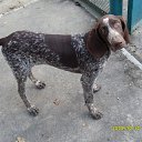 ���� �������, ������, 40 ��� - ��������� 20 ������ 2013