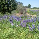 ��������. ����� ������� ��� �������� �����. �� ������� ���� ����������