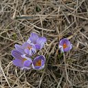 ������ �������� ������ ... �� ������� �������