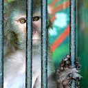 ���� ������, ������������, 53 ���� - ��������� 8 ������ 2011 � ������ ����������� �������� ����.�