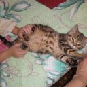 ���� ��� ����� :D, ����� - ��������� 24 ������ 2012 � ������ ���� ����������