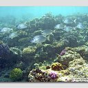 ���� ����� - ���������� ��������!!!, �����������, 56 ��� - ��������� 12 ������ 2010 � ������ ������