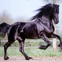 ���� ���, �������, 67 ��� - ��������� 16 ������� 2011 � ������ ��������))�