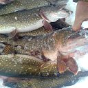 ���� ���������- ���� �������� !!, ������ - ��������� 30 ������ 2013 � ������ ������� �������-30.01.2013�