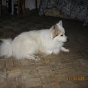 ���� Serega, �����-���������, 34 ���� - ��������� 24 ����� 2011 � ������ ������ � ��������