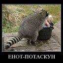���� ������, ������, 51 ��� - ��������� 30 ���� 2010