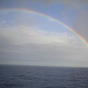 ���� �������, ������, 41 ��� - ��������� 17 ����� 2010 � ������ �������� ��������