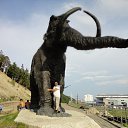 ���� Oleg, ������, 62 ���� - ��������� 23 ���� 2013 � ������ ���� ����������