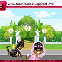  , , 21  -  29  2010   PetLove