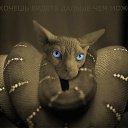 ���� ����, �������, 52 ���� - ��������� 25 ����� 2013 � ������ ���� ����������