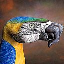 ���� ��@���, ��������� - ��������� 7 ������� 2011 � ������ ������-������........�