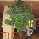 ���� �������, �������, 57 ��� - ��������� 3 ������ 2013 � ������ ���� ����������