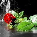 ���� �����, ���������, 68 ��� - ��������� 12 ������ 2012 � ������ ���� ����������