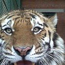  Hjvf, , 56  -  19  2010   