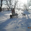  Nadezhda, , 52  -  27  2011    ϸ, ,       / My Dogs, Horses, Cats and others