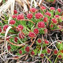 ���� ���������, ������, 72 ���� - ��������� 4 ���� 2012