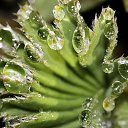 ���� �����, ������, 26 ��� - ��������� 11 �������� 2010 � ������ �����