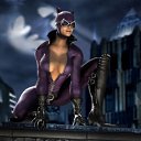   ( -        ,  -  3  2010     