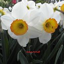  Yiwangna***,  -  14  2013     ...