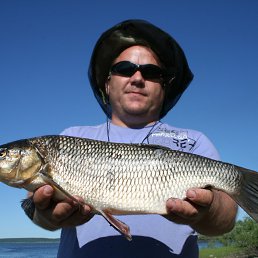 ���� ������, ������, 53 ���� - ��������� 14 ������� 2012