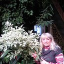 ���� �����, �����������, 68 ��� - ��������� 15 ������� 2012 � ������ ���� ����������