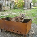 ���� �����, ������, 50 ��� - ��������� 2 ������� 2010 � ������ ��������