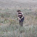 ���� �������, ����, 62 ���� - ��������� 21 ������� 2012 � ������ ���� ����������