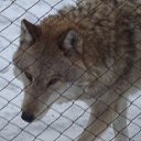 ���� �������, ��������, 69 ��� - ��������� 9 ��� 2012 � ������ ���� ����������