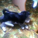 ���� �����, ������������, 38 ��� - ��������� 4 ������� 2012 � ������ ���� ��������