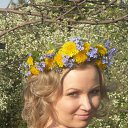 ���� �������, ������, 41 ��� - ��������� 19 ������� 2013 � ������ ���� ����������