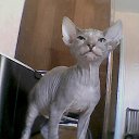 ���� Sergey, ������, 76 ��� - ��������� 26 ��� 2013 � ������ ������� ������ ����߻
