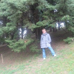 ����, ������