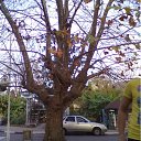 ���� �������, �����������, 53 ���� - ��������� 15 �������� 2011 � ������ �������