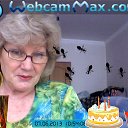���� ������, ������, 70 ��� - ��������� 15 ���� 2013 � ������ ���� ����������