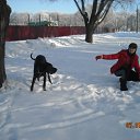  Nadezhda, , 52  -  27  2011    ϸ, ,       / My Dogs, Horses, Cats and others