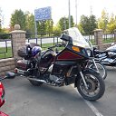 ���� ����, �������, 37 ��� - ��������� 8 ������� 2012 � ������ �������