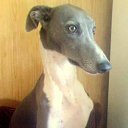 ���� ������, �������� - ��������� 24 ������� 2012 � ������ �������