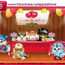 -   , , 84  -  7  2010   PetLove