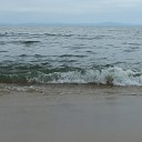  , , 42  -  1  2012    2012